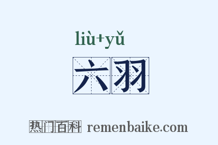 六羽是什么意思的图片